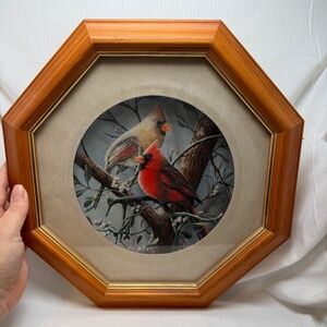 Encyclopedia Britannica Birds of Your Garden Collection Collecotrs Plate The Car